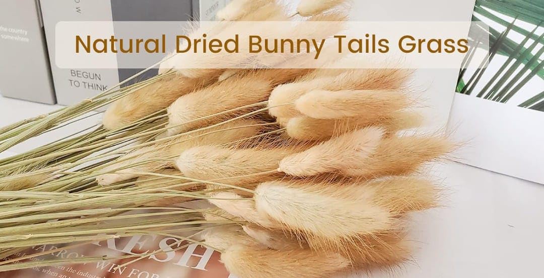 VRB Dec 50 Pcs Set 17inch Natural Dried Bunny Tail, Real Rabbit Tail, Reed Pampas, Boho Bouquet, Artificial Flowers Decor for Table Vase Home Decoration